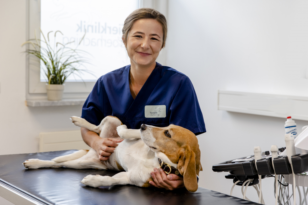 Tierklinik Oberhaching