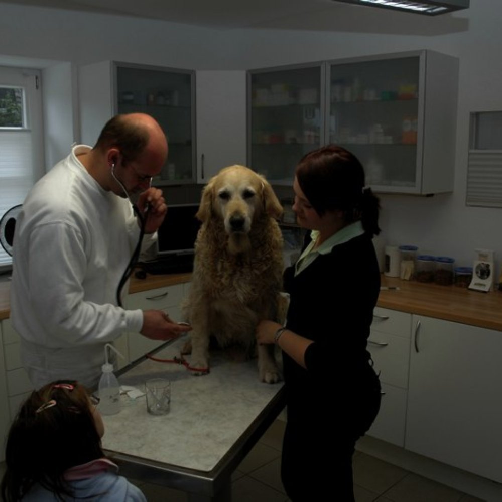 Tierklinik Weilheim