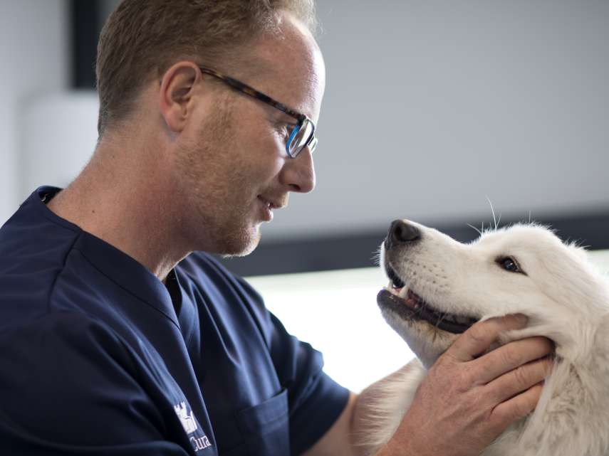 AniCura Kleintierklinik Babenhausen GmbH | 24h Notdienst