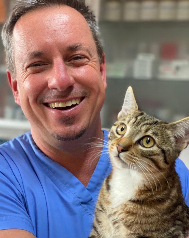 Tierarzt Pfaffenhofen | Dr. med. vet. Patrick Soffner