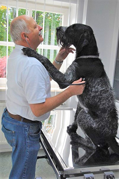 Dr.med.vet. Wolfgang Bittner Tierarzt