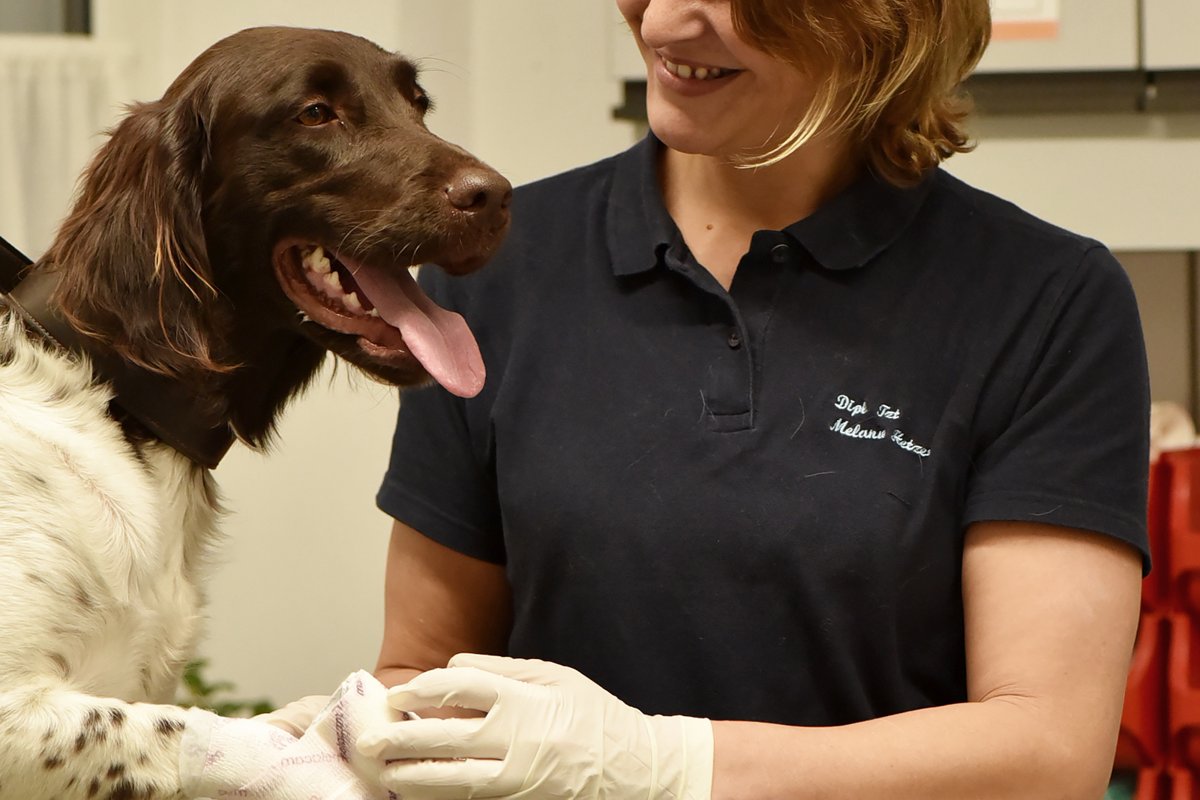 Tierärztliche Klinik Kurzeichet