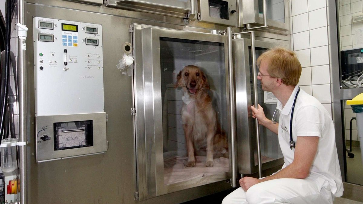 Kleintierzentrum Mainfranken Tierklinik