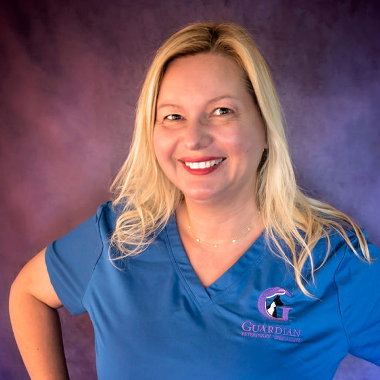 dr med vet annette volkamer