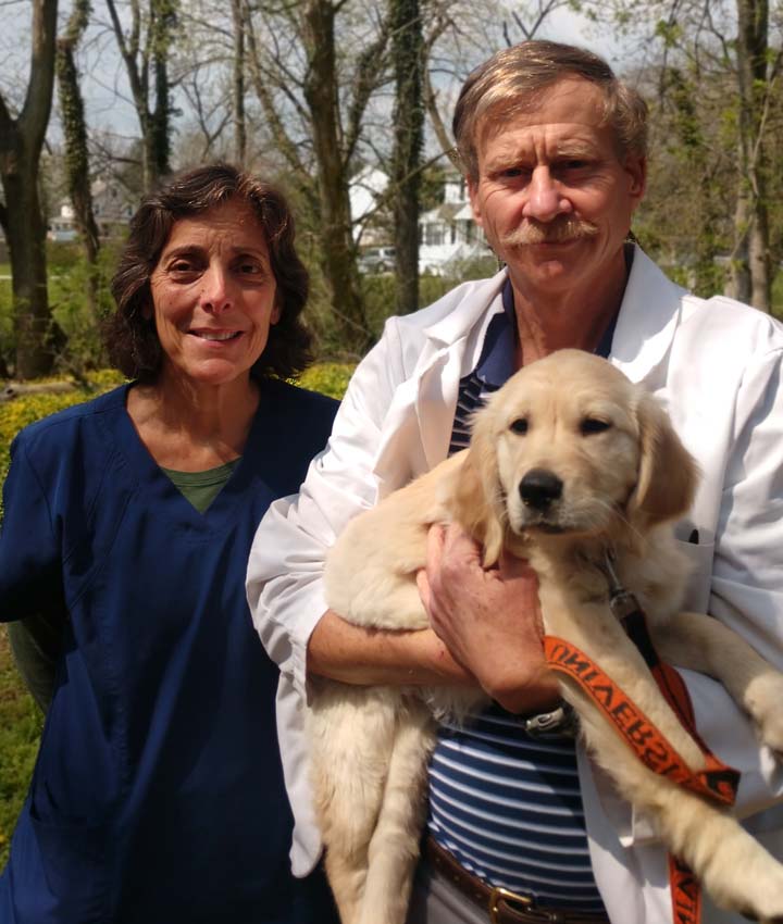 dr med vet annette volkamer