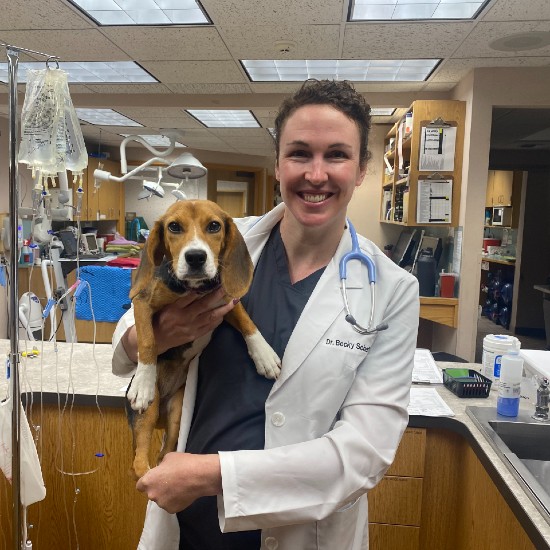 Dr. med. vet. Eva-Maria Schäfer-Hagn