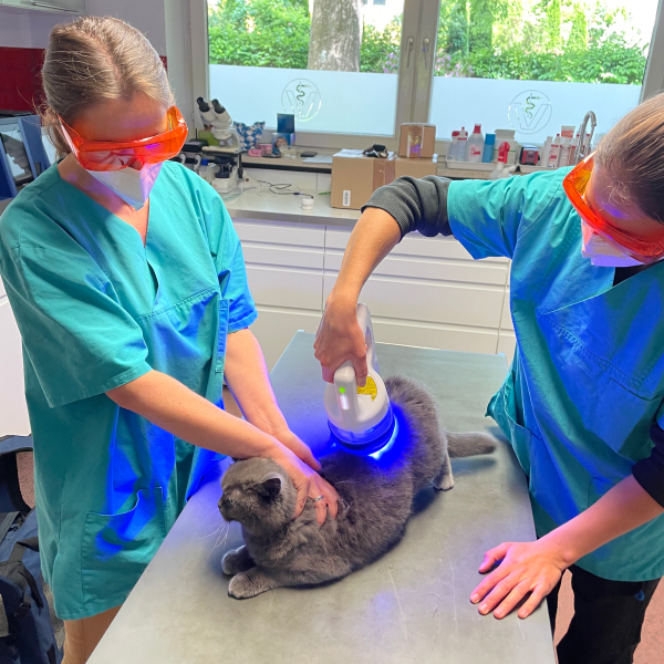 Tierarzt Dr.med.vet.Tobias Zauscher, Notdienst, offene und Terminsprechstunde