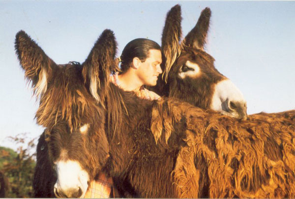 Tierspital Kreil - Tierarztpraxis für Kleintiere und Esel