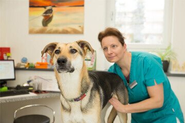 Tierklinik Am Stadtpark GmbH