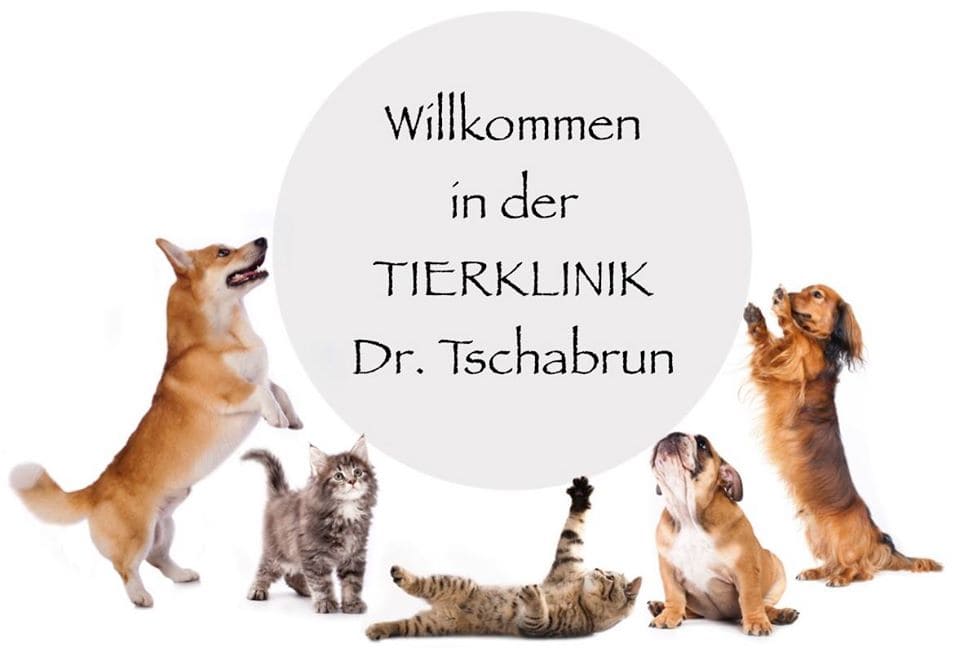 Tierklinik am Nordring