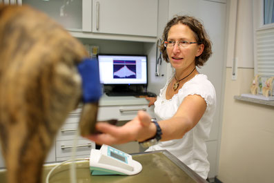 Dr. med. vet. Tanja Strack