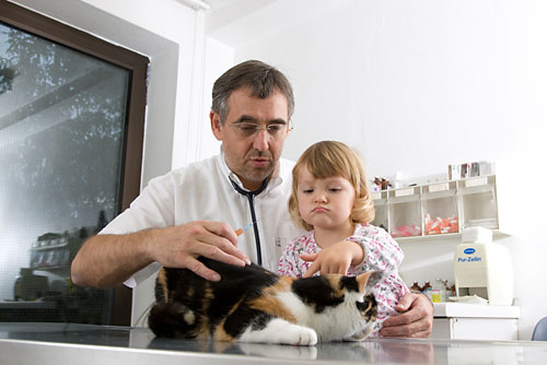 Dr.med.vet. Walter Hackner Tierärztliche Klinik