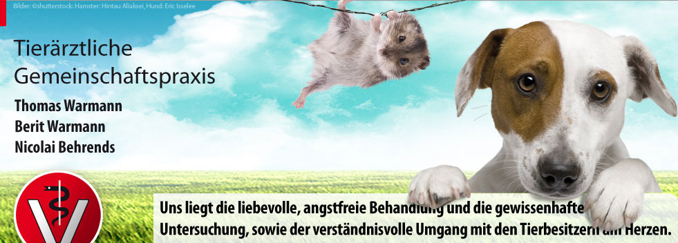 Tierarztpraxis für Kleintiere – B. Sonnenschein