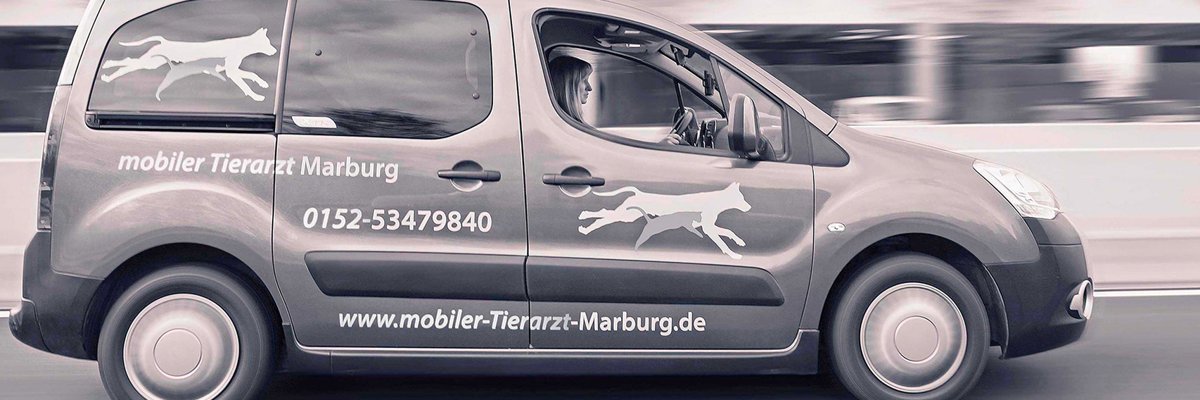 Mobile Tierarztpraxis Stein | Kleintier-Mobil | Tierarzt