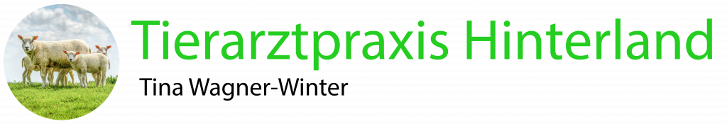 Hötter Elisabeth Tierarztpraxis 24h Notdienst