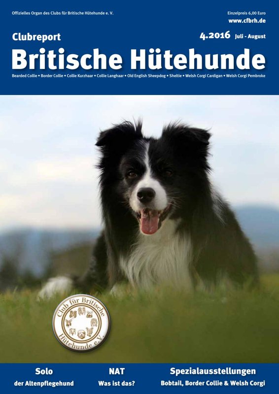 Dr.med.vet. Falk Richter Tierarzt