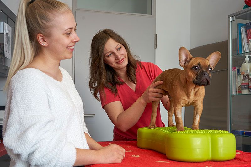 Tierklinik Lautertal