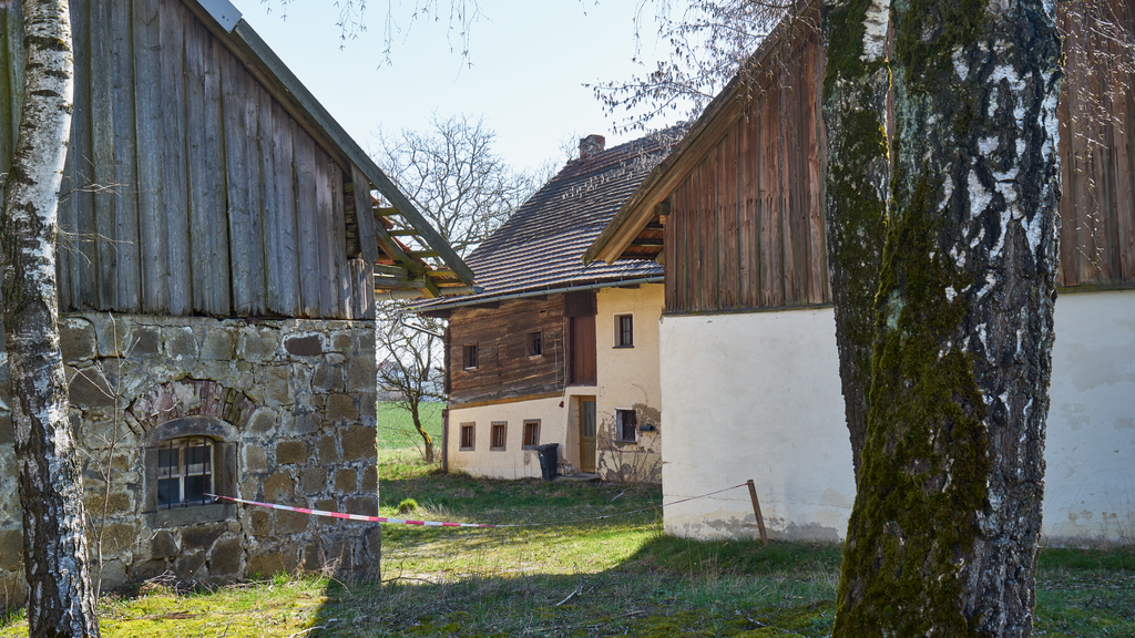 Tierärztliche Klinik Kurzeichet