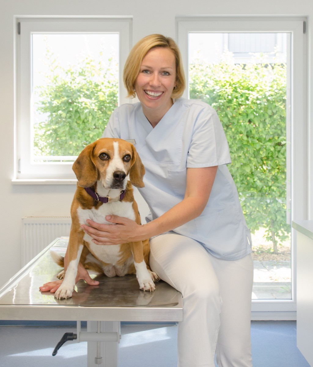 Tierärztliche Gemeinschaftspraxis Dr. Yvonne Sepp und Dr. Regine Volz