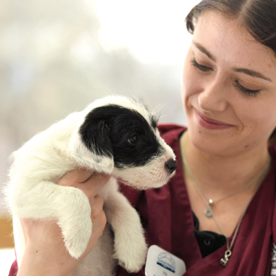 Tierklinik Weilheim