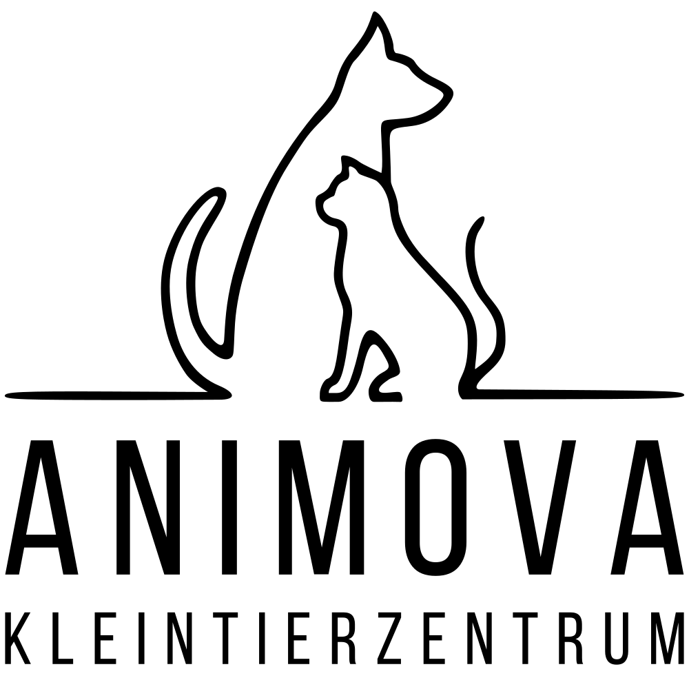 Tierarztpraxis am Hauptsmoorwald