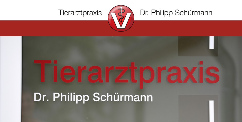 Pferdefahrpraxis Dr. Philipp Schürmann