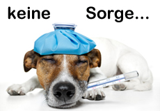 Dr.med.vet. Sabine Sinowatz Tierärztin