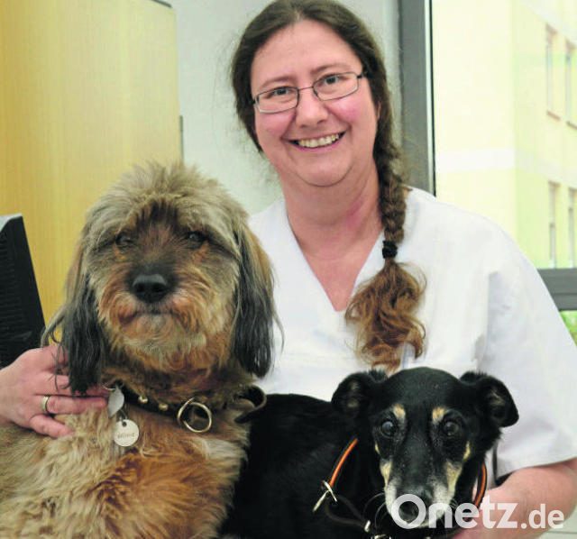 Tierarztpraxis für Kleintiere Dr. med. vet Eduard Krinninger