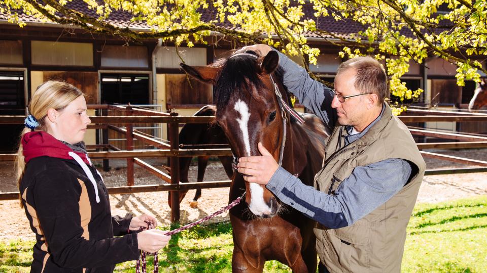 Dr. med. vet. Markus Aschenbrenner