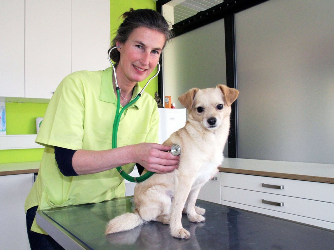 Dr. med. vet. Stefanie Ruhl