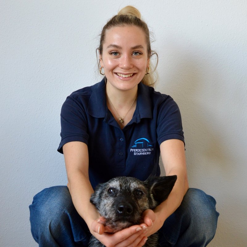 Tierklinik Starnberg - Pferdezentrum