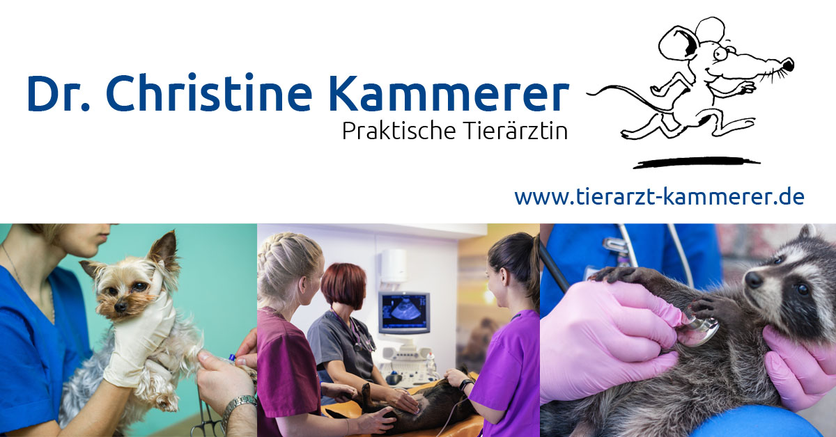 Tierarzt Kammerer Mainleus, Tierarztpraxis Dr. Christine Kammerer