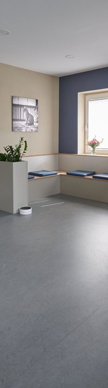 Tagesklinik für Kleintiere Stolpen