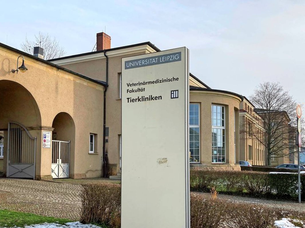 Tierärztliche Klinik Für Kleintiere